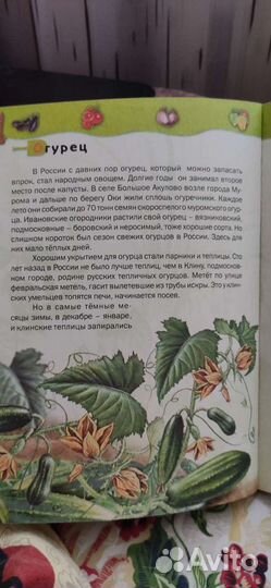 Книги для детей природа в картинках