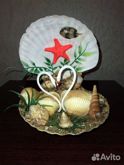 Красивая Ракушка