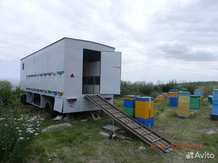 Мед горный из Казахстана, разнотравье