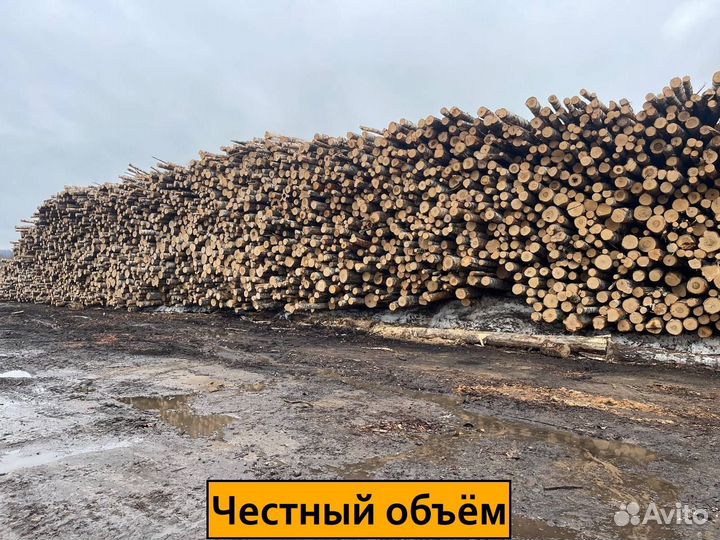 Дрова березовые