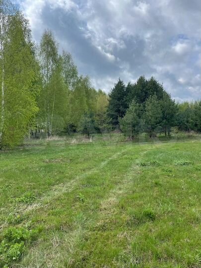 Участок 10 сот. (ИЖС)