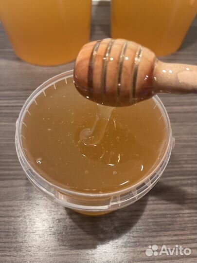 Натуральный донниковый мед с Алтая