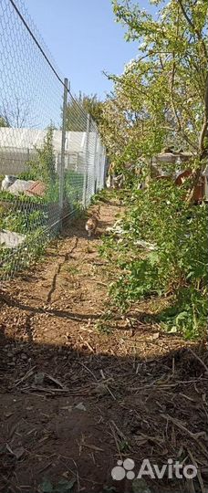 Забор из 3D сетки за 1 день быстро