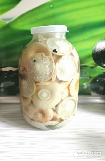 Грибы грузди солёно-варёные