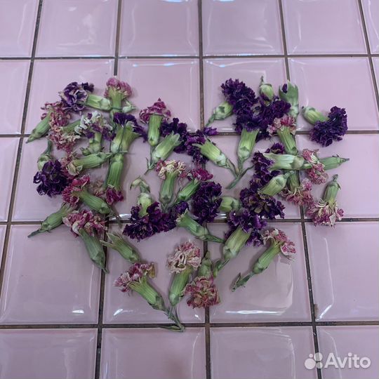 Сухоцветы для эпоксидной смолы