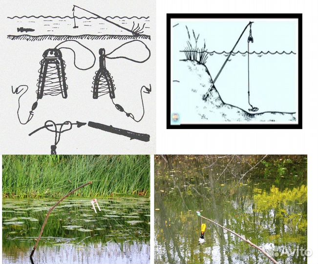 Жерлица летняя поставуха