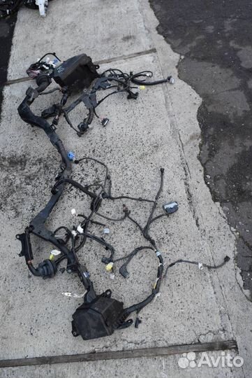 Проводка подкапотная Toyota RAV4 5 (XA50) 2020