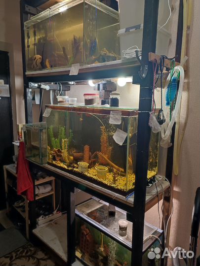 Аквариумная стойка
