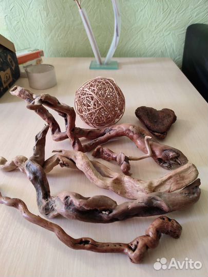 Коряги для террариума