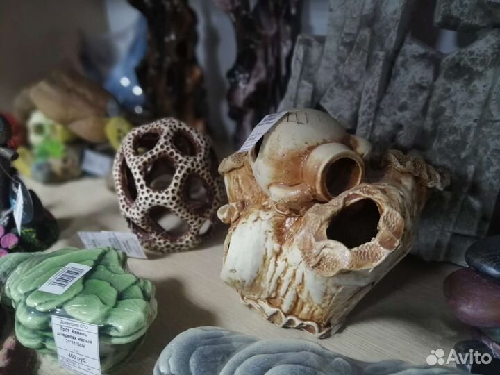 Аквариумистика(гроты, отсадники, аквариумы)