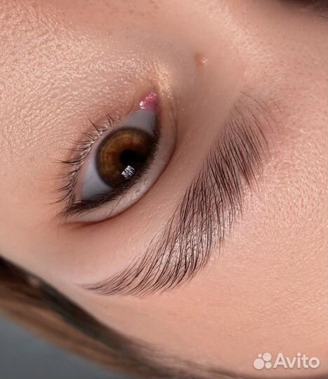 2в1 курс обучение на Бровиста и Ламинирование ресн