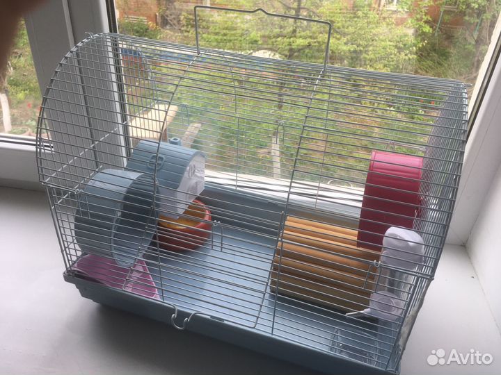 Товары для грызунов