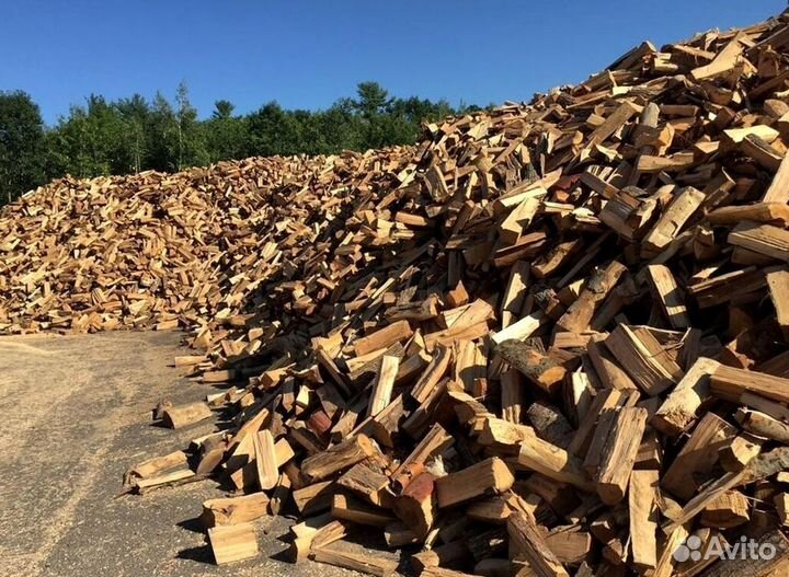 Дрова березовые