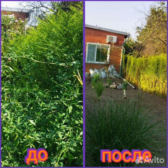 Уборка огородов и дачных участков