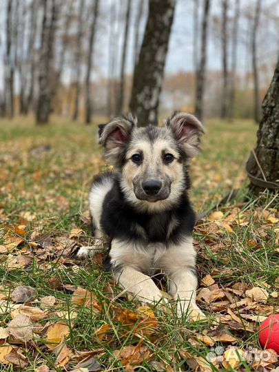С детства в приюте