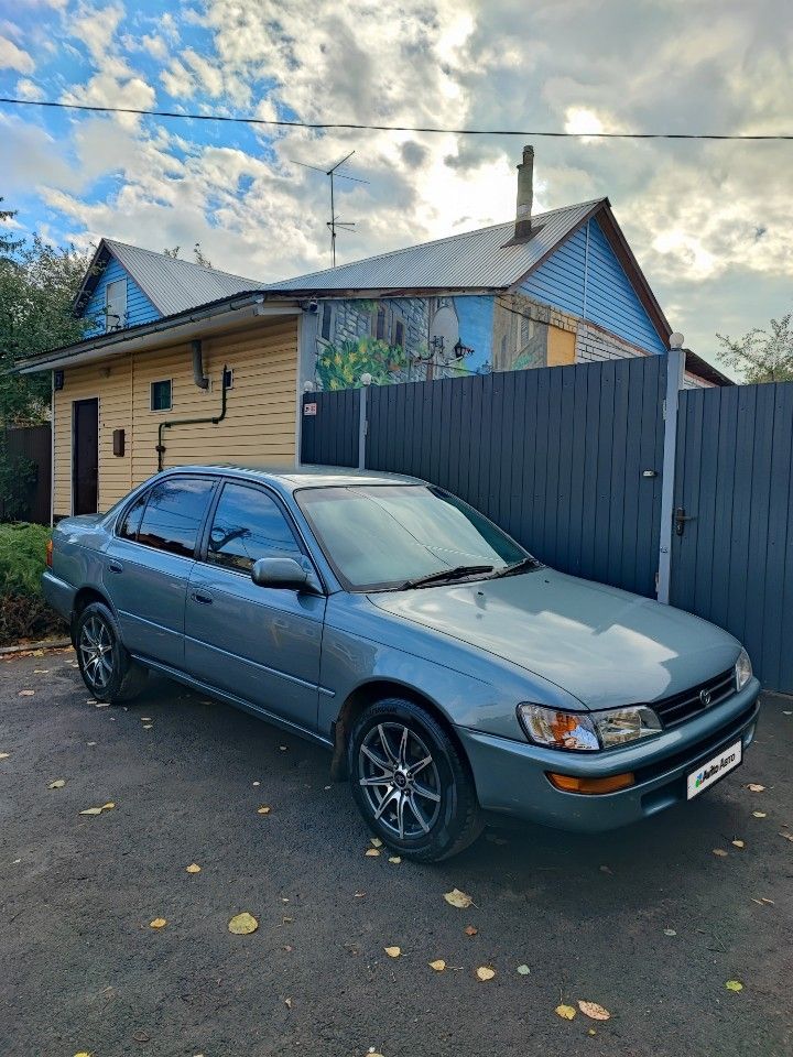 Toyota Corolla: фото владельца