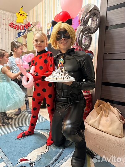 Профессиональные аниматоры на День Рождения