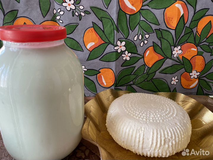 Продам козье молоко и сыр