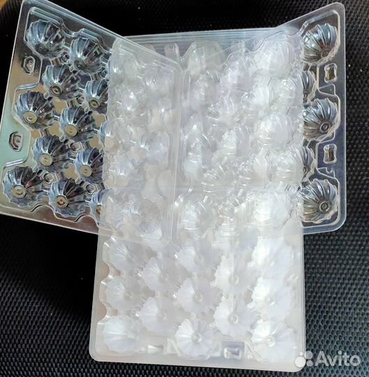 Упаковка для перепелиных яиц