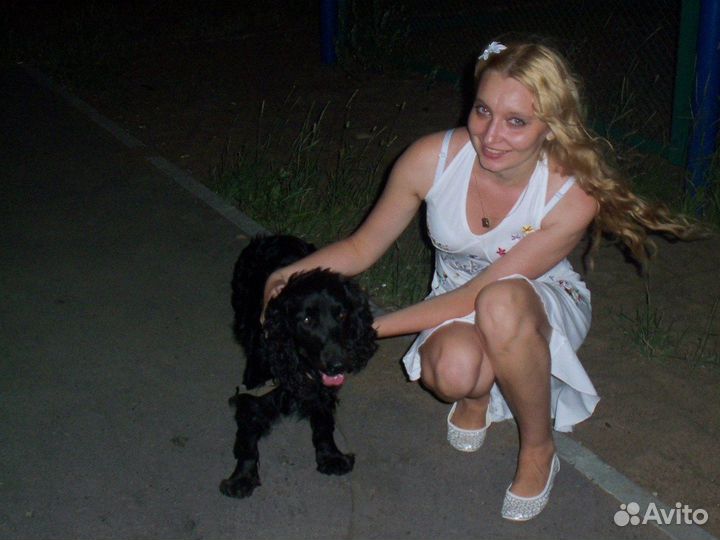 Передержка собак, кошек, морских свинок, кроликов