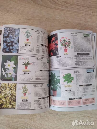 Книги о комнатных растениях