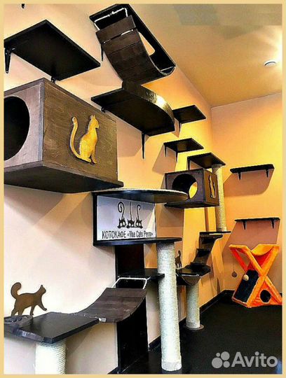 Настенный комплекс,домик,когтеточка для кошек