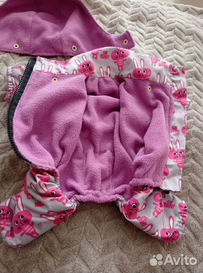 Весенний комбинезон для маленькой собачки 22