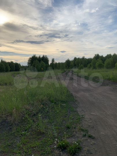 Участок 900 га (СНТ, ДНП)