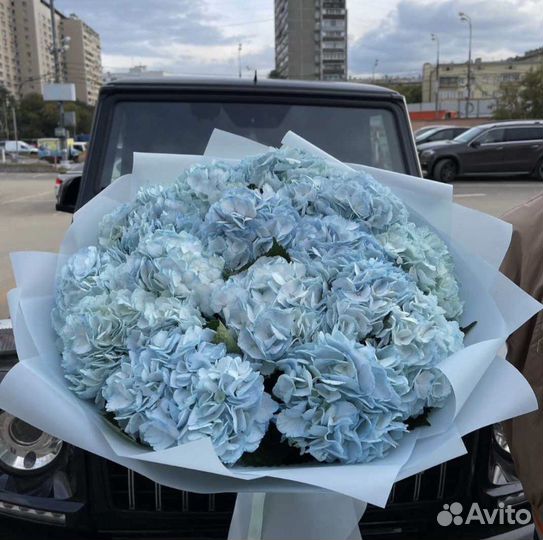 Гортензия букет цветов