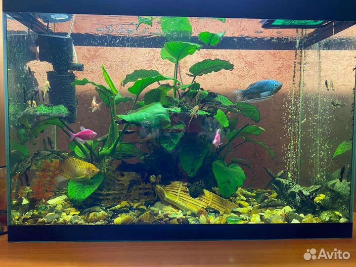 Украшение для аквариума