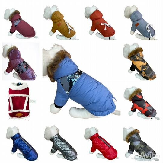 Одежда для собак и кошек