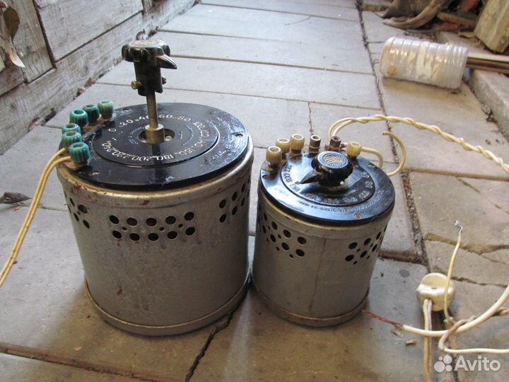 Латр мощный