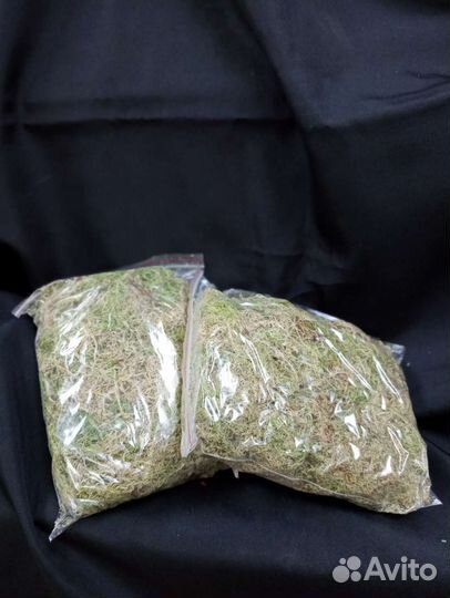 Комнатные растения цветы