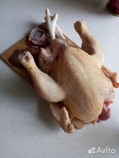 Домашние курочки,мясо бройлера,яйцо