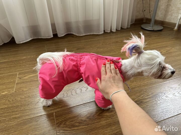 Куртка для средней собаки