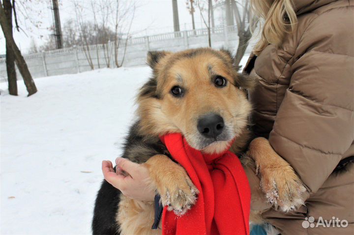 Милена добрая, нежная и робкая