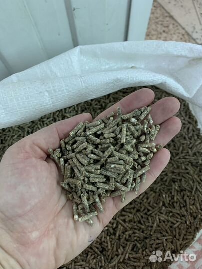 Корм для кур несушек