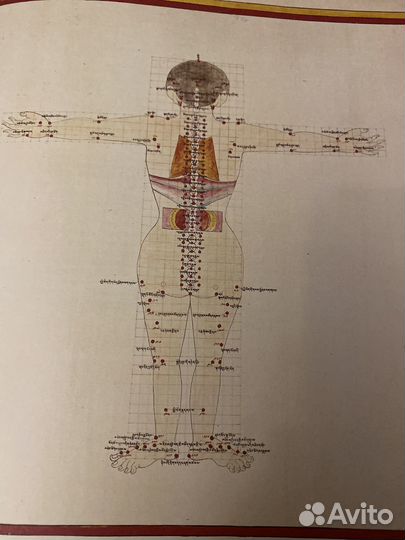 Атлас тибетской медицины