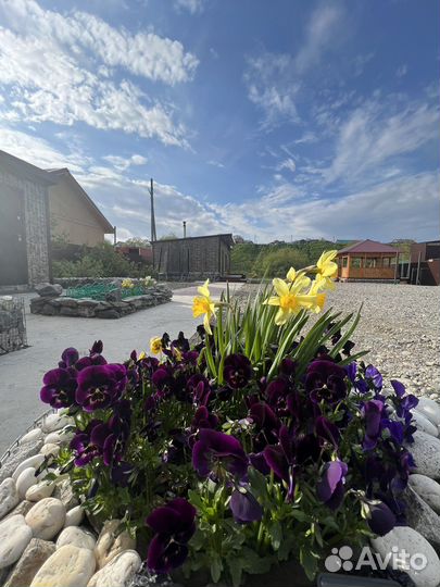 Помощник повара