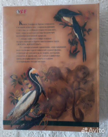 Энциклопедия жизнь животных Альфред Брем