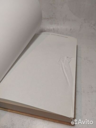 Дневник черной смерти Бенсон Энн