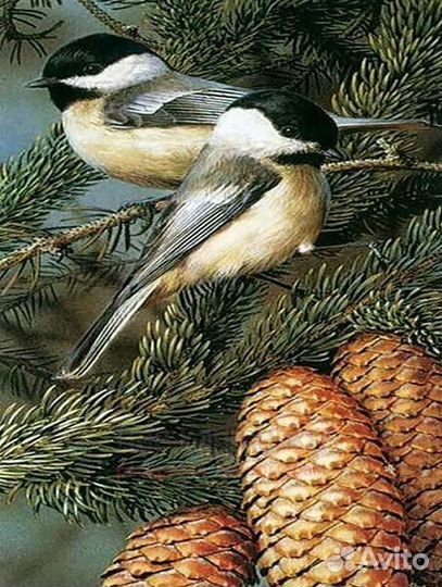 Алмазная мозаика 40x50 Синички на еловой ветке с ш