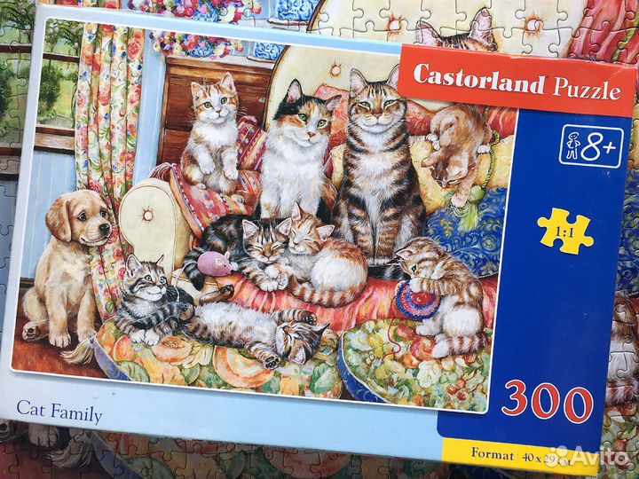 Пазл Castorland 300 деталей