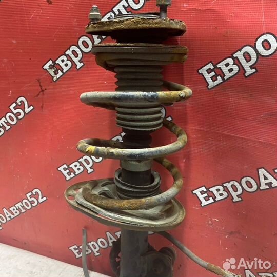 Стойка подвески передняя правая Toyota Rav-4 30