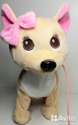 Собачка Чичилав ходячая в рюкзаке