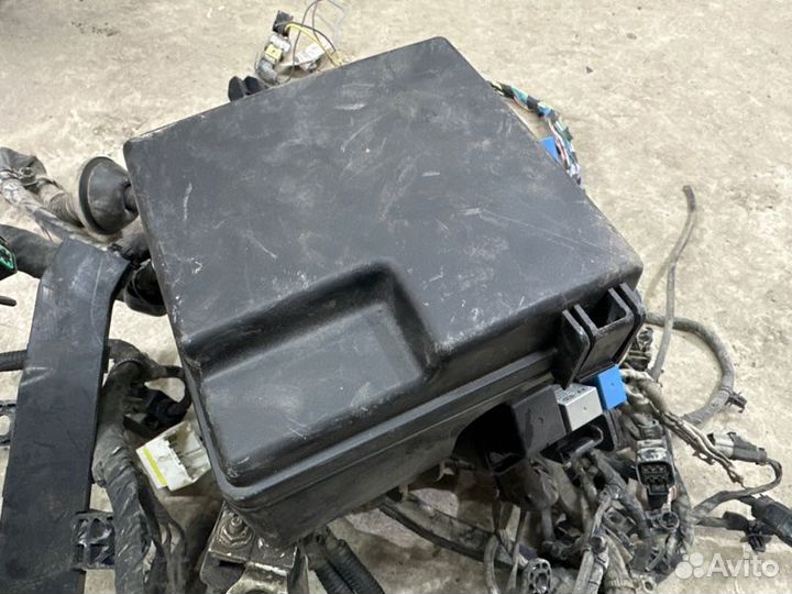 Проводка моторного отсека с блоком предохранителей