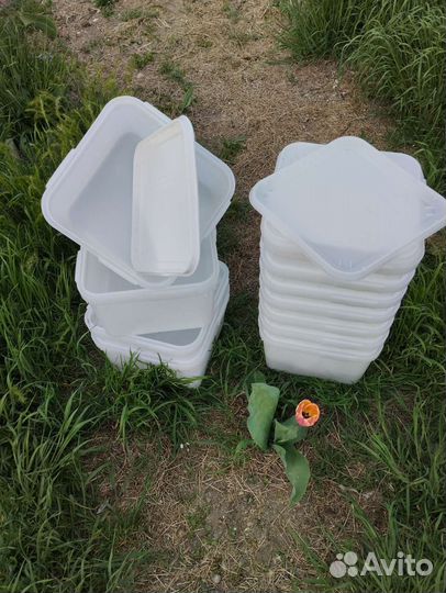 Контейнер был мёд