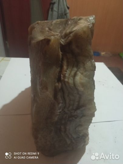 Коллекцианирование