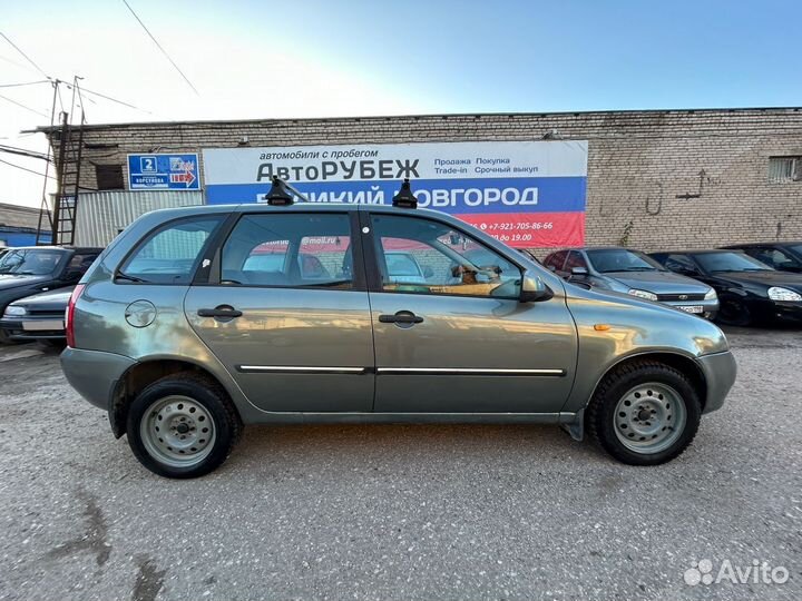 Калина новгород