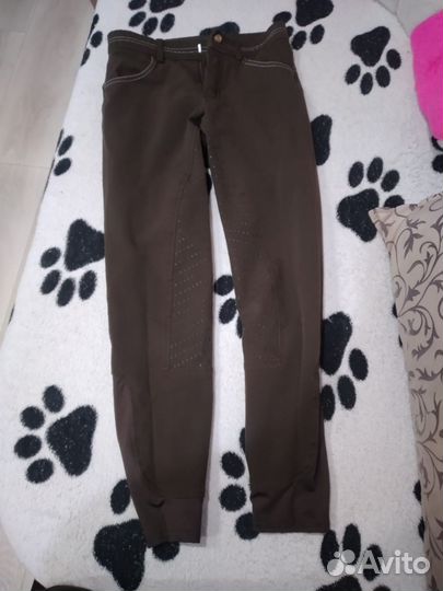 Бриджи для конного спорта